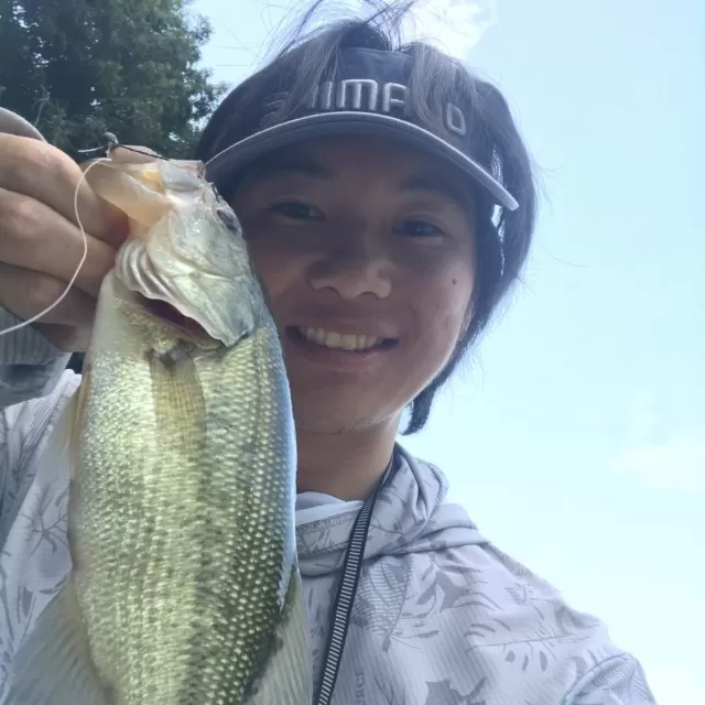 小嶋葵